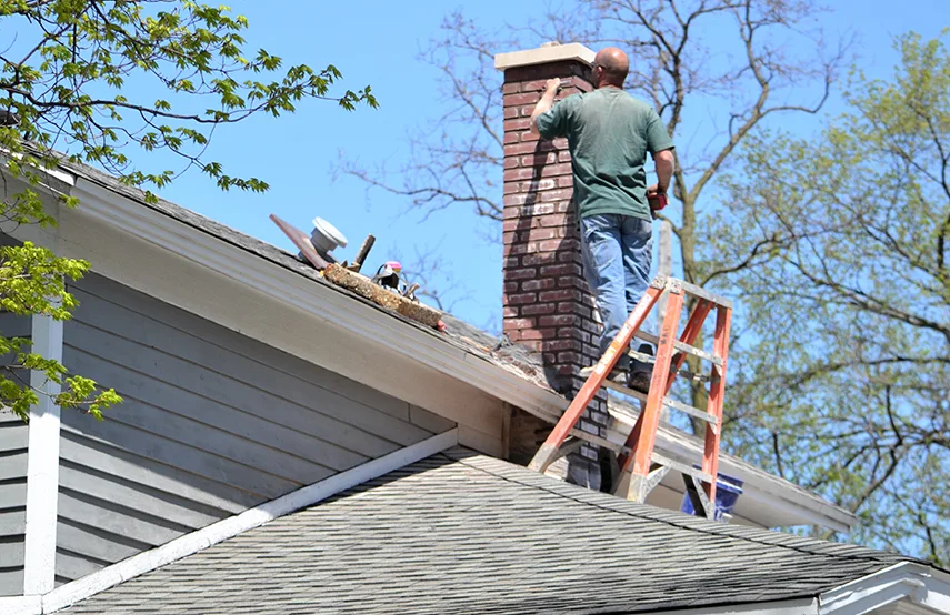 Chimney & Fireplace Inspections Services in Greenville, MS